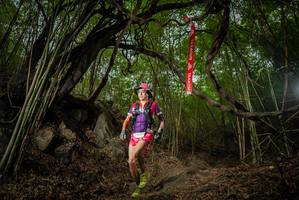 BIB: 
                            <button type="button" onclick="openModal(22177819)" class="btn btn-primary btn-sm float-right btn-popup" data-toggle="modal" data-target=".modal-high-quality">
                        <i class="fas fa-shopping-cart"></i> Add to Cart
                    </button>
                                            <button type="button" onclick="isThisMe(22177819, true)" class="btn btn-success btn-sm float-right btn-popup btn-isme hidden" data-toggle="tooltip" data-placement="bottom" title="นี่คือรูปของคุณใช่ไหม คลิกที่นี่เพื่อเอาเข้าอัลบั้ม">
                        <i class="fas fa-plus"></i> Add to album
                    </button>
                    <button type="button" onclick="isThisMe(22177819, false)" class="btn btn-warning btn-sm float-right btn-popup btn-isnotme hidden">
                        <i class="fas fa-ban"></i> Remove from album
                    </button>